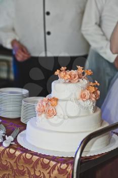 The couple share the cake for guests.