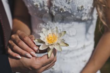 Wedding rings in a white Lily.