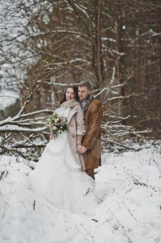 Portrait of the bride and groom around fallen trees overgrown with pine forest.