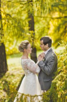 Beautiful autumn bright and juicy pictures of the newlyweds.