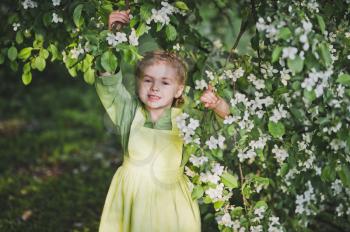 Portrait of a child standing near the branches of the cherry blossoms.