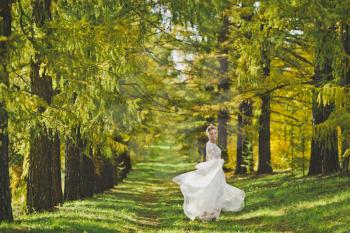 Dancing bride in the bright autumn woods.