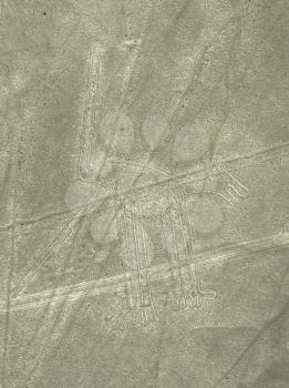 Nazca Lines dog geoglyph in Peru