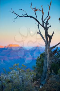 Grand Canyon National Park sunset and moon.