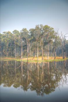 Chitwan National Park.  is mainly covered by jungle.