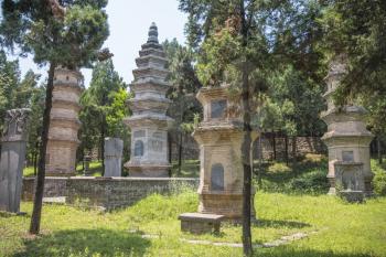 Forest pagodas of the Shaolin Monastery. China