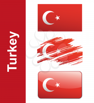Flag Turkey isolated on white background vector