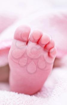 baby foot, newborn foot  on the bag