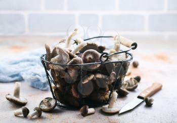 raw mushrooms in metal basket on a table
