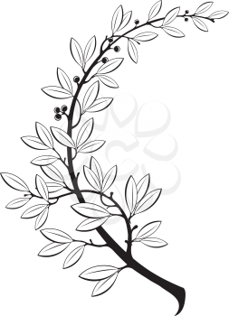 The vector illustration contains the image of laurel branch