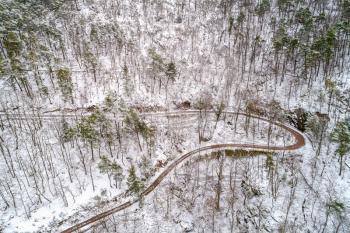 Aerial view of a forest in the Vosges Mountains in winter. Alsace, France