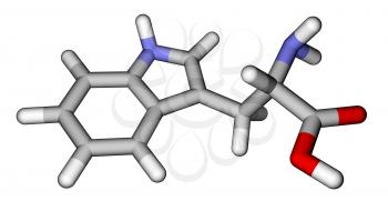 Essential amino acid tryptophan 3D molecular structure