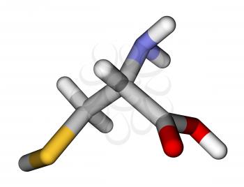Amino acid cysteine 3D molecular model