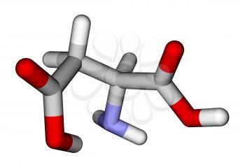 Amino acid aspartic acid 3D molecular model