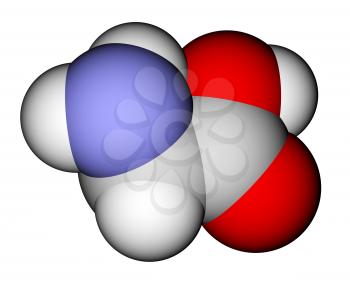 Amino acid glycine space filling molecular model