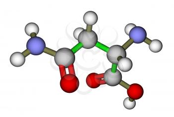 Amino acid asparagine 3D molecular structure