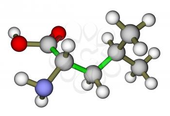 Essential amino acid leucine molecular structure