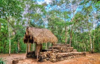 Mayan Pyramid at Coba in the Quintana Roo State of Mexico