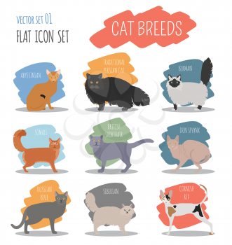 Cat breeds icon set flat style. Vector illustration
