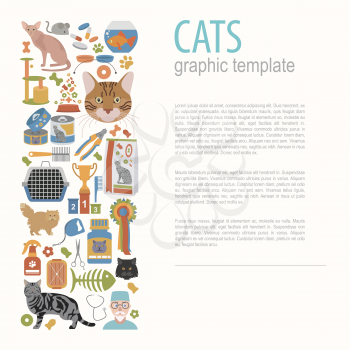 Cat characters and vet care icon set flat style. Graphic template. Vector illustration