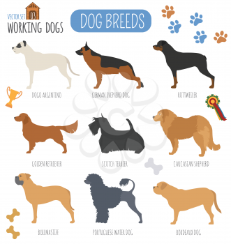 Dog breeds. Working (watching) dog set icon. Flat style. Vector illustration