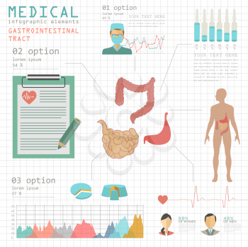 Medical and healthcare infographic, gastrointestinal tract infographics. Vector illustration