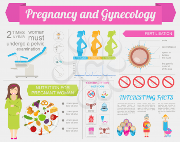 Gynecology and pregnancy infographic template. Motherhood elements. Constructor for creating your own design, infographics. Vector illustration