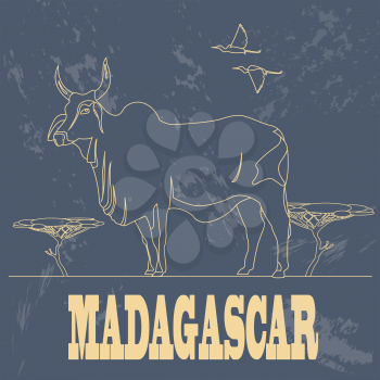 Madagascar. National symbol zebu. Retro styled image. Vector illustration