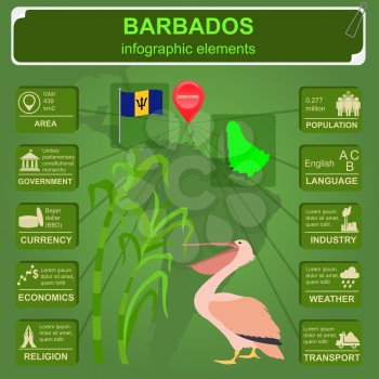 Barbados infographics, statistical data, sights. Pelican, sugarcane, national symbol. Vector illustration