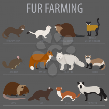 Fur farming. Flat design. Vector illustration