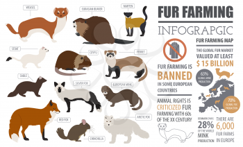 Fur farming infographic template. Flat design. Vector illustration
