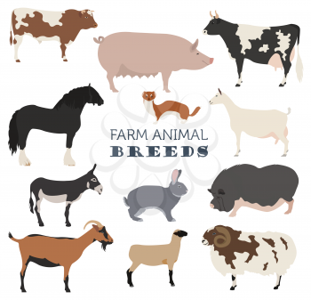 Animal farming, livestock. Cattle, pig, goat, ship, horse, donkey, rabbit, fur  icon set isolated on white. Flat design. Vector illustration