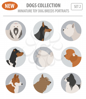 Miniature toy dog breeds, set icon isolated on white . Flat style. Vector illustration