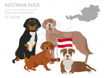 Dogs by country of origin. Austrian dog breeds. Infographic template. Vector illustration