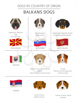 Dogs by country of origin. Balkans dog breeds: Macedonian, Bosnian, Montenegrin, Serbian, Slovenian. Infographic template. Vector illustration