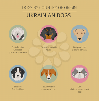 Dogs by country of origin. Ukrainian dog breeds. Infographic template. Vector illustration