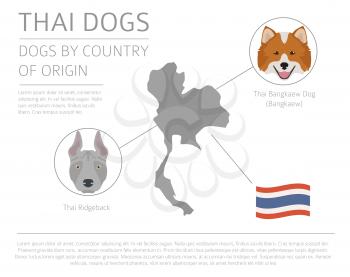 Dogs by country of origin. Thai dog breeds. Infographic template. Vector illustration
