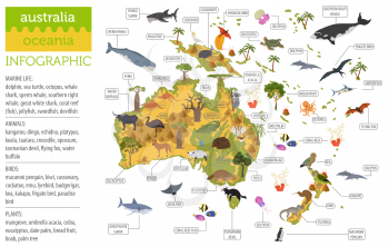 Australia and Oceania flora and fauna map, flat elements. Animals, birds and sea life big set. Build your geography infographics collection. Vector illustration