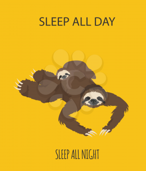 The story of one sloth. With family. Funny cartoon sloths in different postures set. Vector illustration