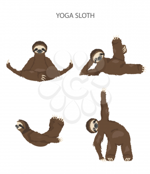 Sloth yoga collection. Funny cartoon animals in different postures set. Vector illustration