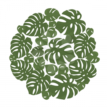 Monstera tropical forest leaves background. Green frame decoration. Vector illustration