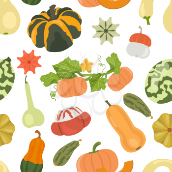 Variety of pumpkins. Flat design seamless pattern. Vector illustration