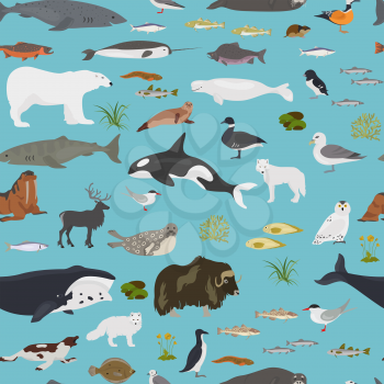 Ice sheet and polar desert biome. Terrestrial ecosystem world map. Arctic animals, birds, fish and plants seamless pattern design. Vector illustration