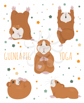 Guinea pig yoga poses and exercises. Cute cartoon clipart set. Vector illustration