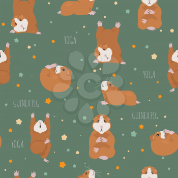 Guinea pig yoga poses and exercises. Cute cartoon seamless pattern. Vector illustration