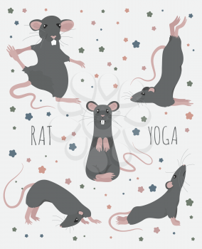 Rat yoga poses and exercises. Cute cartoon clipart set. Vector illustration