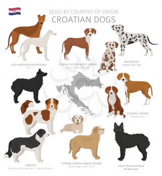 Dogs by country of origin. Croatian dog breeds. Shepherds, hunting, herding, toy, working and service dogs  set.  Vector illustration