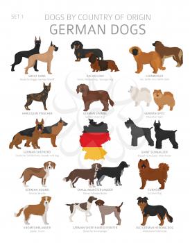 Dogs by country of origin. German dog breeds. Shepherds, hunting, herding, toy, working and service dogs  set.  Vector illustration