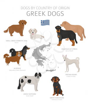 Dogs by country of origin. Greek dog breeds. Shepherds, hunting, herding, toy, working and service dogs  set.  Vector illustration