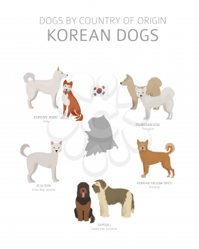 Dogs by country of origin. Korean dog breeds. Shepherds, hunting, herding, toy, working and service dogs  set.  Vector illustration